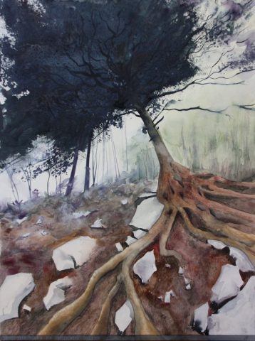 Find the tree in Strebske Pleso, Slowakei, 46 x 61 cm, Aquarell auf Baumwollpapier
