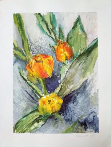 Tulpen, 24 x 32 cm, Aquarell auf Aquarellpapier