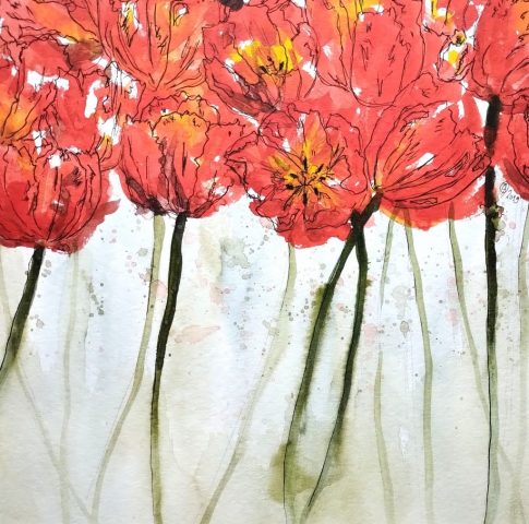Tulpen, 30 x 30 cm, Aquarell und Tusche auf Aquarellpapier