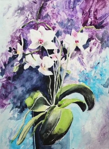 Orchidee, 26 x 48 cm, Aquarell auf Aquarellpapier